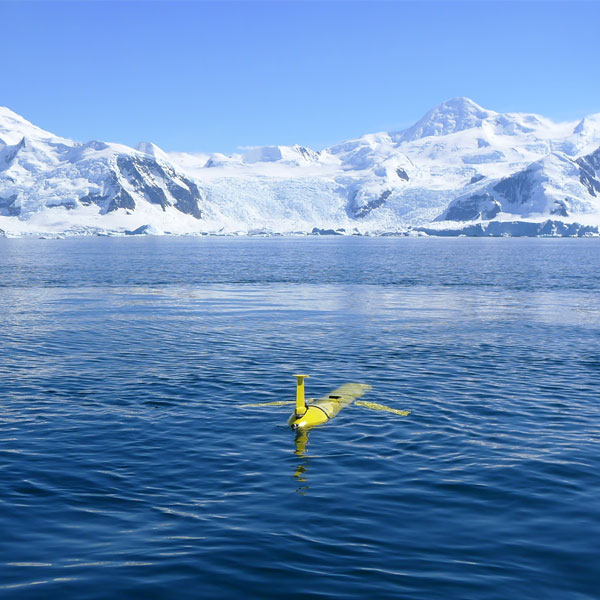 Autonomous Surface Vehicle