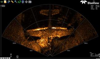 BlueView ProViewer™
