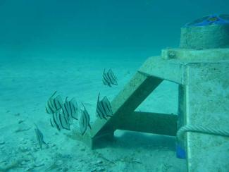 Sentinel V ADCP by Teledyne
