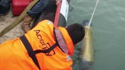 Gavia AUV by Teledyne being deployed